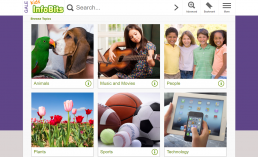 Screenshot of Kids InfoBits Homepage.