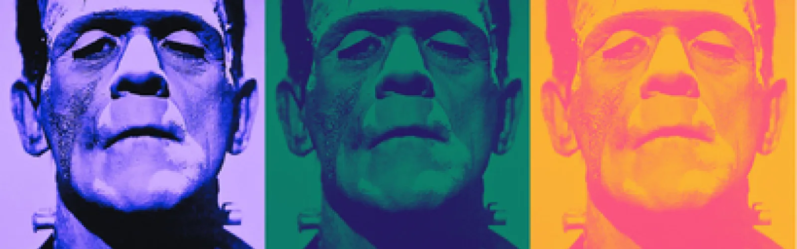 Image of Frankenstein's Monster