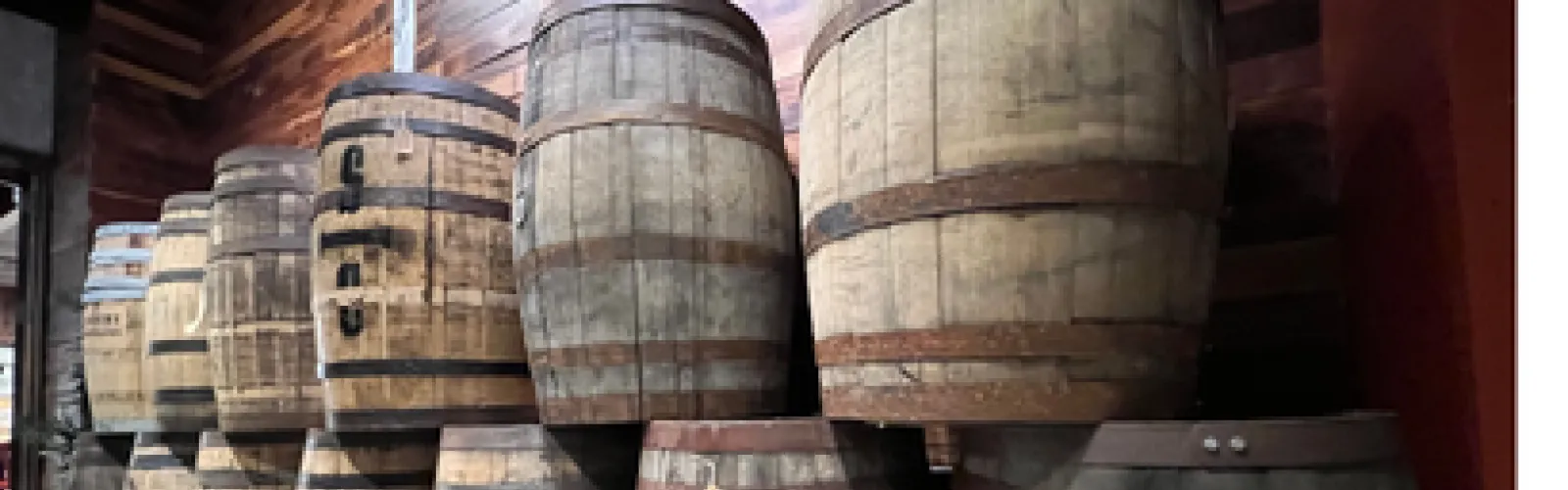 Barrels Used to Store Alcohol